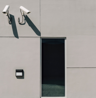 Imagen Seguridad Electrónica